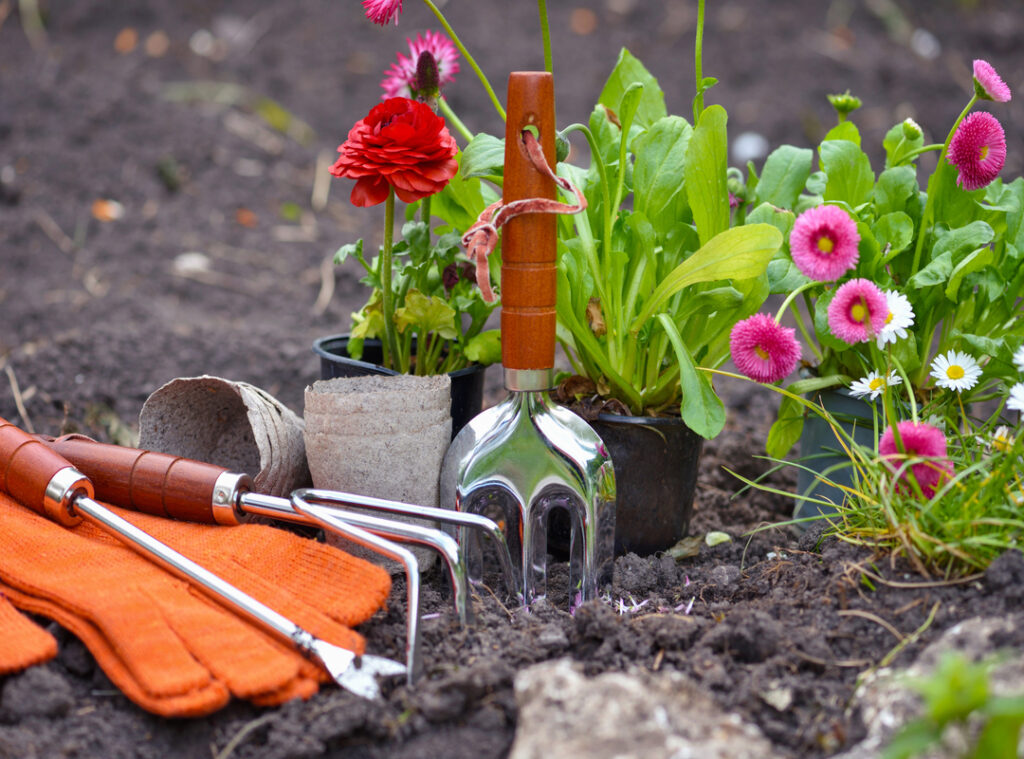 Gardening Tools And Spring Flowers In The Garden