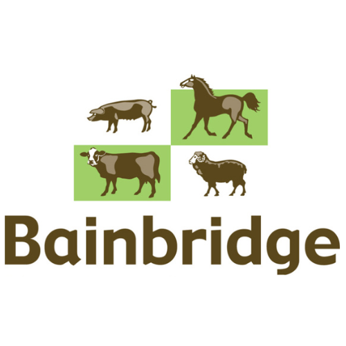 Bain Bridge Logo Central Queensland